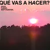 About Qué Vas A Hacer? Song