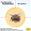 Rimsky-Korsakov: The Tale Of Tsar Saltan - Arr. Grigory Feygin - The Flight Of The Bumble-Bee