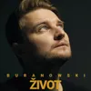 About ŽIVOT Song
