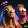 About Skål Song