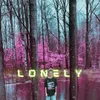 About Lonely Song