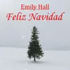 About Feliz Navidad Acoustic Cover Song