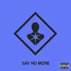 About Say no more Song