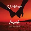 About Impilo Song