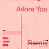 About Adore You Endless Remix Song