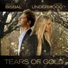 About Tears Of Gold Song