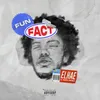 About Fun Fact Song