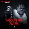 About Vaisseau mère Song