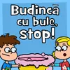 About Budincă cu bule, Stop! Song