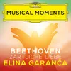 About Beethoven: Zärtliche Liebe, WoO 123 "Ich liebe dich" Song