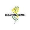 About Beautiful Scars-Acoustic Song