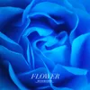 About Flower Song