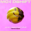 About What About My Love-Tobtok Remix Song