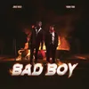 About Bad Boy Song