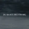 About DU ÄR INTE BRA FÖR MIG Song