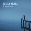 Without You Acoustic Cover