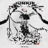 About Junkie Song