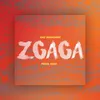 About Zgaga Song