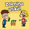 About Zelenina utíká Song