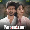 About Ninaivilum Song