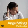 About Angel Wings Song