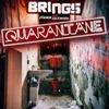 About Quarantäne Song