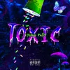 About Toxic Song