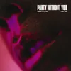 About Party Without You Song