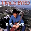 Big Love-Album Version
