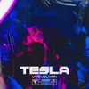 About TESLA Song