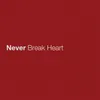 About Never Break Heart Song
