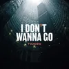 About I Don't Wanna Go Song