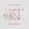 About Sorry Not Sorry johan lenox arrangement Song