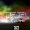 About TRIP Song