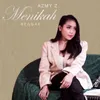 About Menikah Song