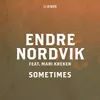 About Sometimes fra De Neste Song