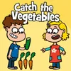 About Catch The Vegetables Song