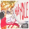 Handle