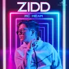 About Zidd Song