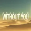 Without You