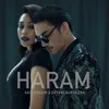 About Haram Song