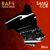 About Hymne Officiel RAF Song