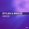 Amigos Technikal Remix / Styles & Breeze Presents Infextious