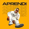 About Aprendí Song