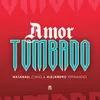 About Amor Tumbado Song