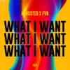 About What I Want Song