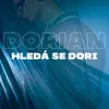 About Hledá se Dori Song