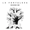 About La Fortaleza Song