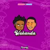 About Wakanda Song