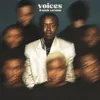 Voices French Version